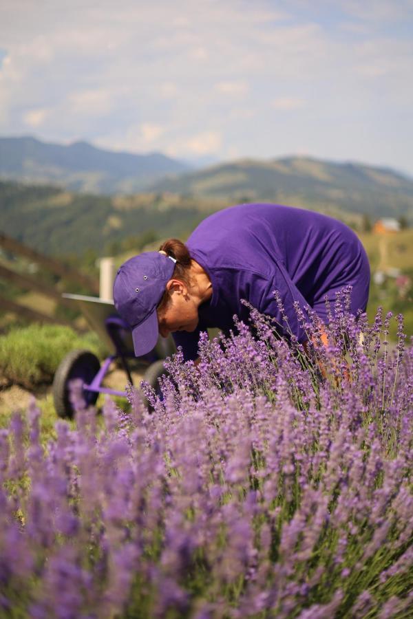 Lavender Valley Perekrestnoye Exterior foto