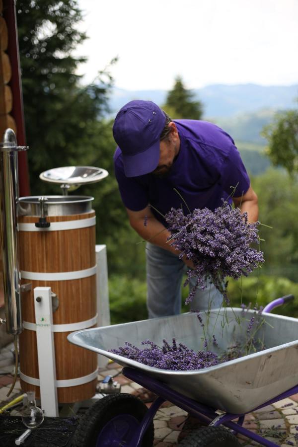 Lavender Valley Perekrestnoye Exterior foto
